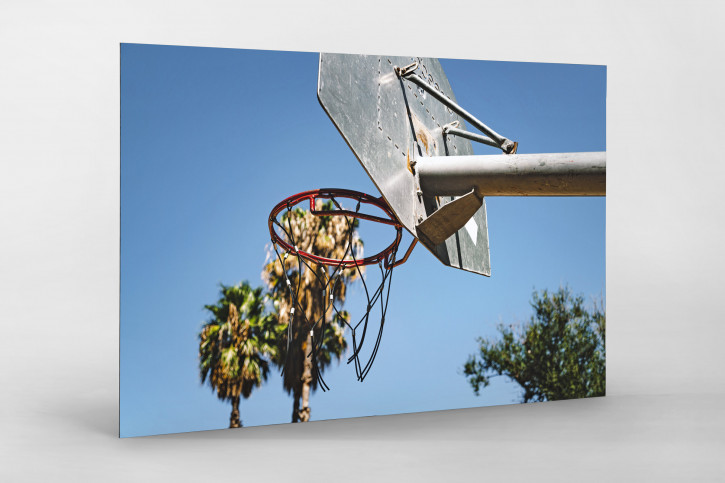 Basketpalms - Wandbild