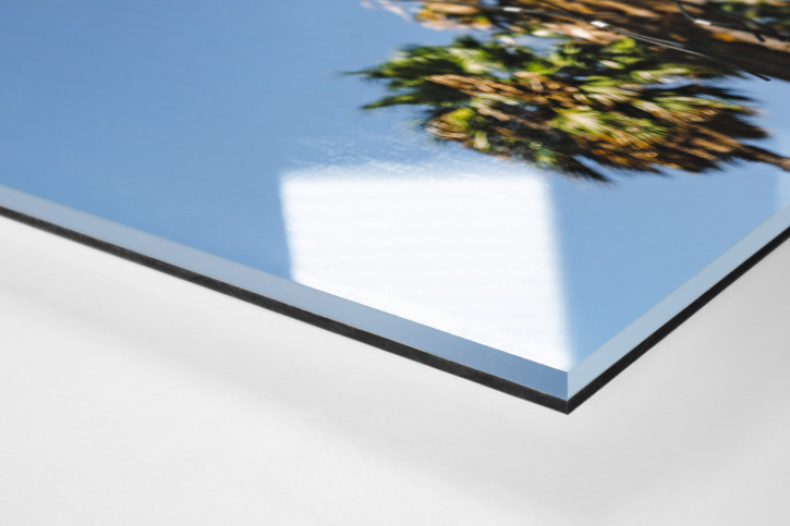 Basketpalms - Wandbild