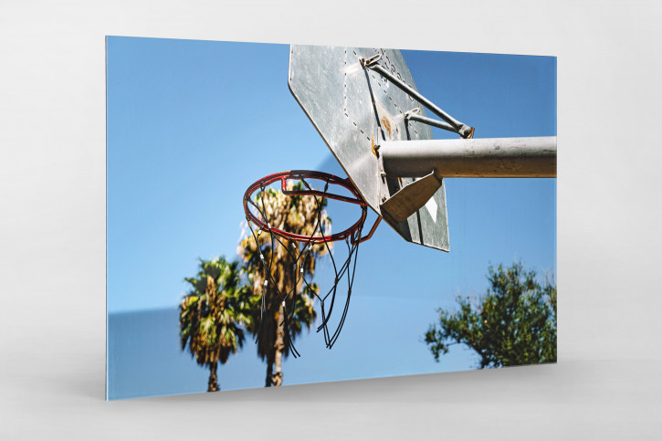 Basketpalms - Wandbild