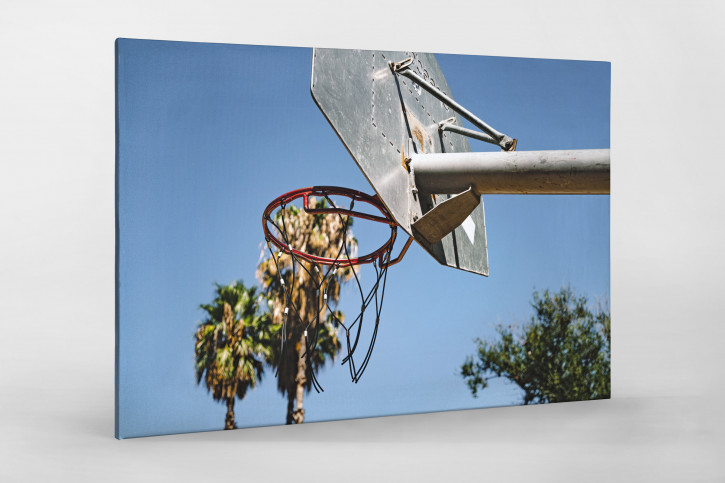 Basketpalms - Wandbild