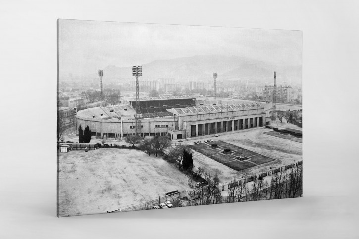 Stade Vélodrome 1974 - Wandbild