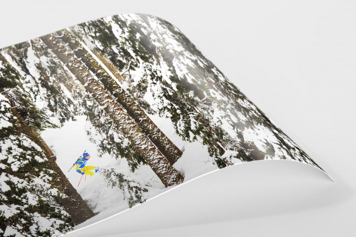 Wandbild: Biathlet zwischen den Bäumen - Momentaufnahme aus dem slowenischen Pokljuka