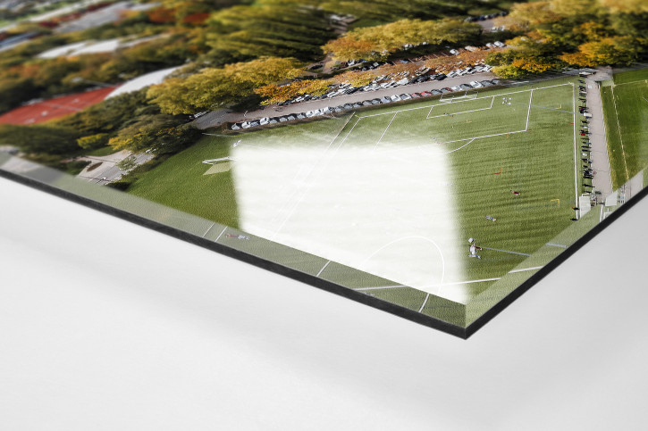 Fußballplätze in Lausanne - Stade Juan-Antonio Samaranch