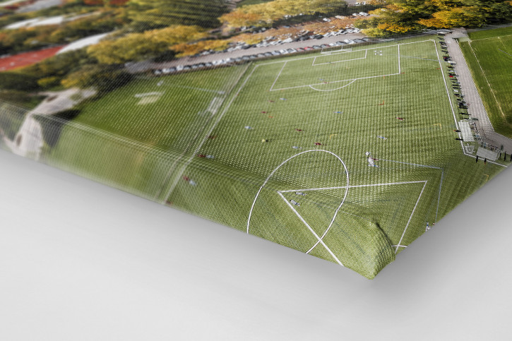 Fußballplätze in Lausanne - Stade Juan-Antonio Samaranch