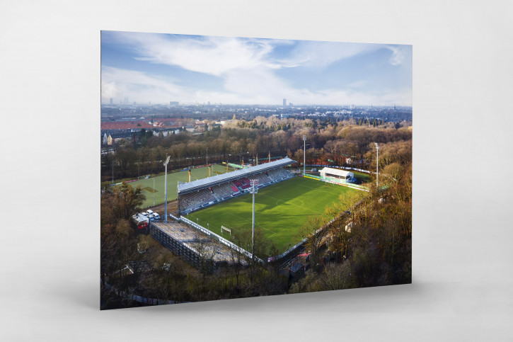 Sportpark Höhenberg und Kölner Skyline - Viktoria Köln Wandbild