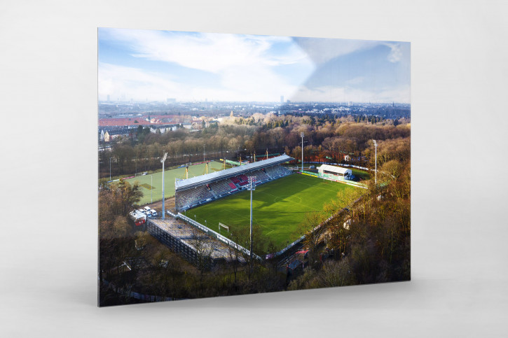 Sportpark Höhenberg und Kölner Skyline - Viktoria Köln Wandbild