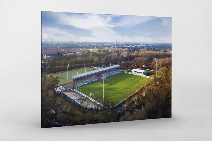 Sportpark Höhenberg und Kölner Skyline - Viktoria Köln Wandbild