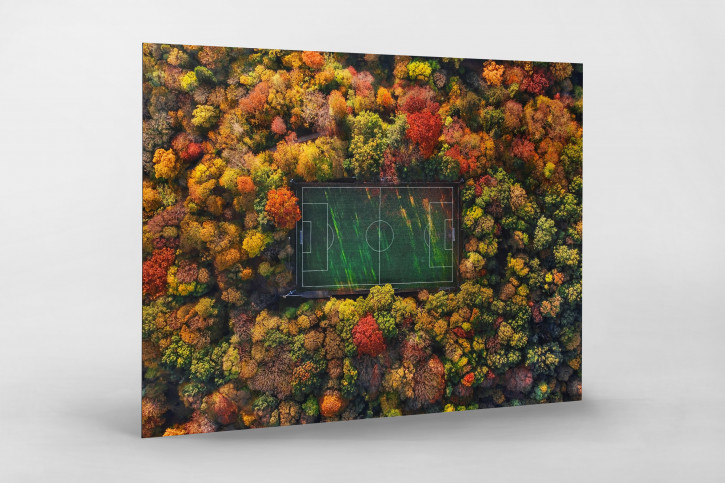 Fußballplatz im Herbstwald (Querformat) - Sébastien Nagy