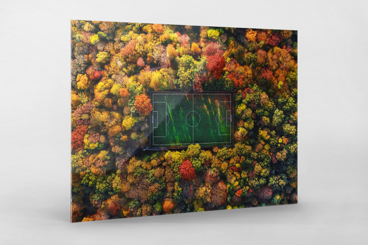 Fußballplatz im Herbstwald (Querformat) - Sébastien Nagy