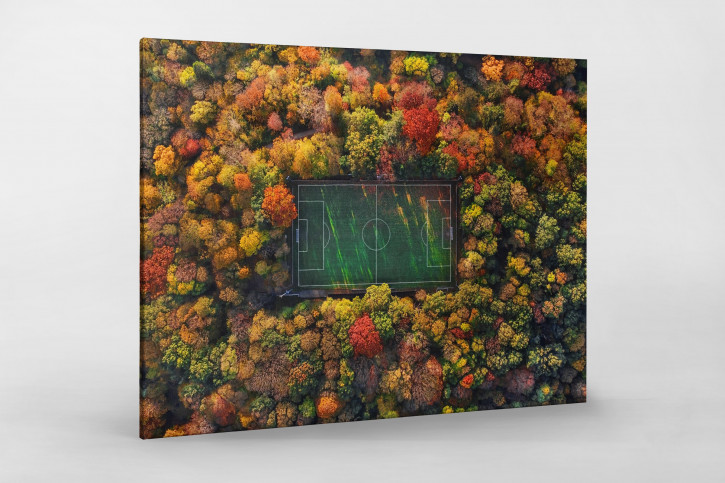 Fußballplatz im Herbstwald (Querformat) - Sébastien Nagy