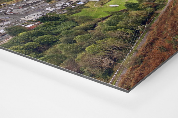 Blick auf den Blandy Park in Südwales - Wandbild Die ganze Welt ist ein Spielfeld
