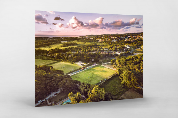 Wespow Park in Montego Bay - Wandbild