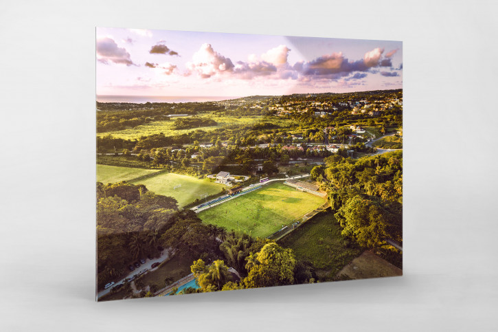 Wespow Park in Montego Bay - Wandbild