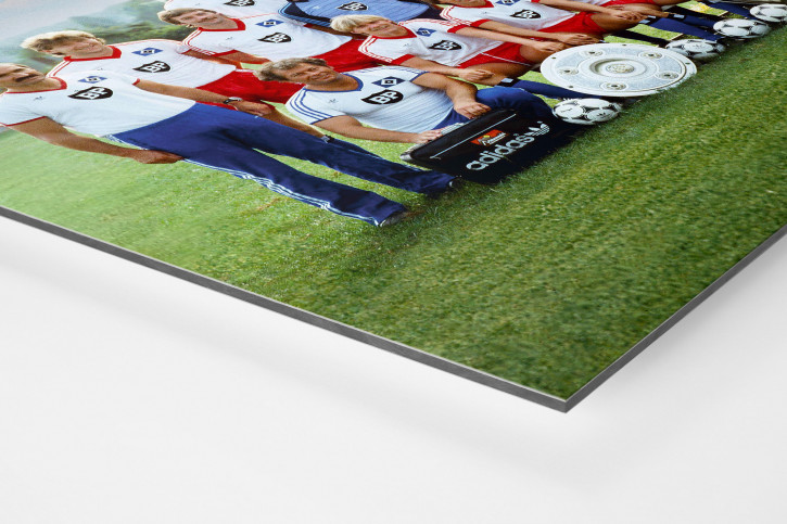 Wandbild: HSV 1983 - Mannschaftsfoto des Hamburger SV mit Meisterschale und Europapokal