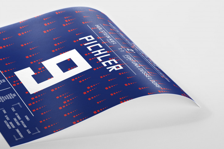 Pichler vs. Düsseldorf - Poster