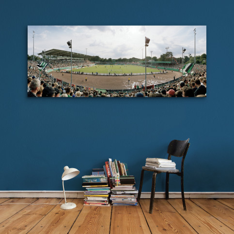 Münster Preußenstadion - 11FREUNDE BILDERWELT