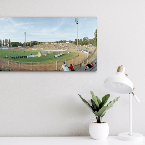 Darmstadt Stadion am Böllenfalltor 11FREUNDE BILDERWELT