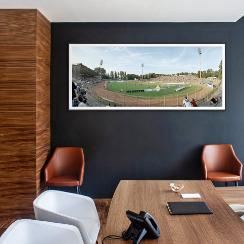 Darmstadt Stadion am Böllenfalltor 11FREUNDE BILDERWELT