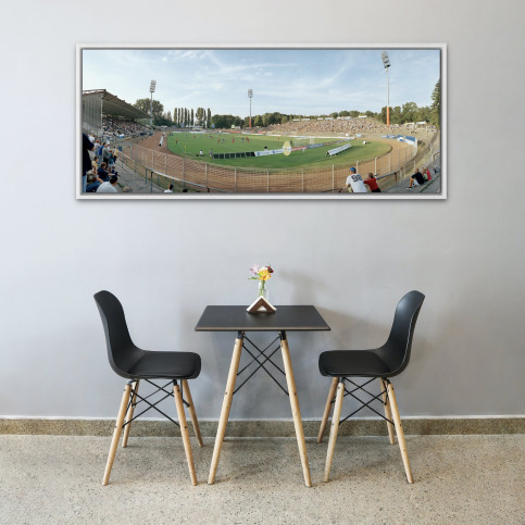 Darmstadt Stadion am Böllenfalltor 11FREUNDE BILDERWELT