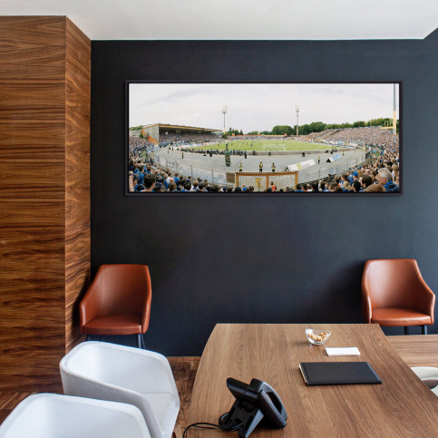 Darmstadt (2015) - Stadionfoto - Poster - 11FREUNDE SHOP