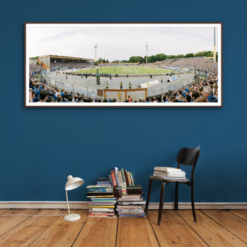 Darmstadt (2015) - Stadionfoto - Poster - 11FREUNDE SHOP