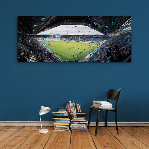 Rostock (2016) - Stadionfoto - 11FREUNDE SHOP
