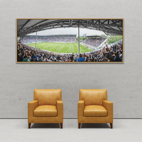 Mannheim (2016) - Stadion Wandbild Carl-Benz-Stadion - 11FREUNDE SHOP