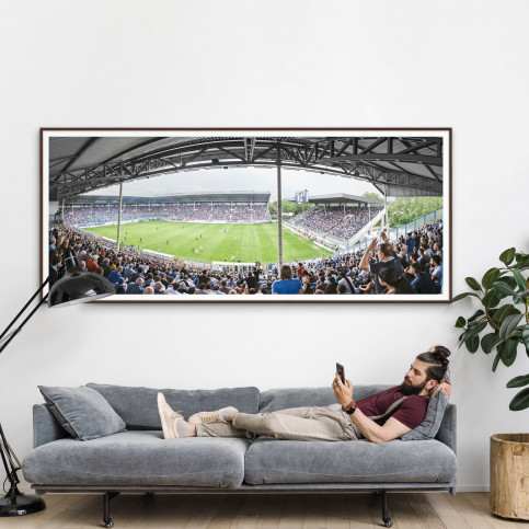 Mannheim (2016) - Stadion Wandbild Carl-Benz-Stadion - 11FREUNDE SHOP
