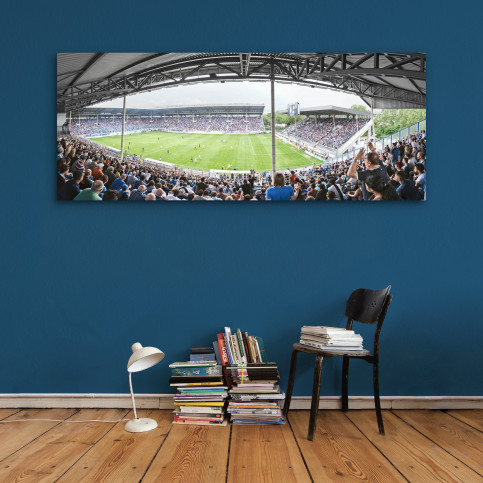 Mannheim (2016) - Stadion Wandbild Carl-Benz-Stadion - 11FREUNDE SHOP