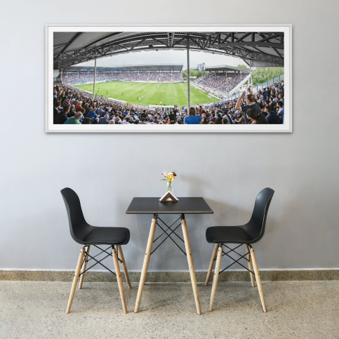 Mannheim (2016) - Stadion Wandbild Carl-Benz-Stadion - 11FREUNDE SHOP