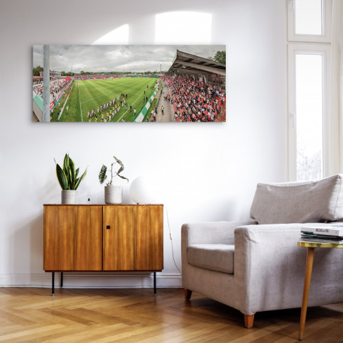 Würzburg - Stadion Wandbild Flyeralarm-Arena - 11FREUNDE SHOP