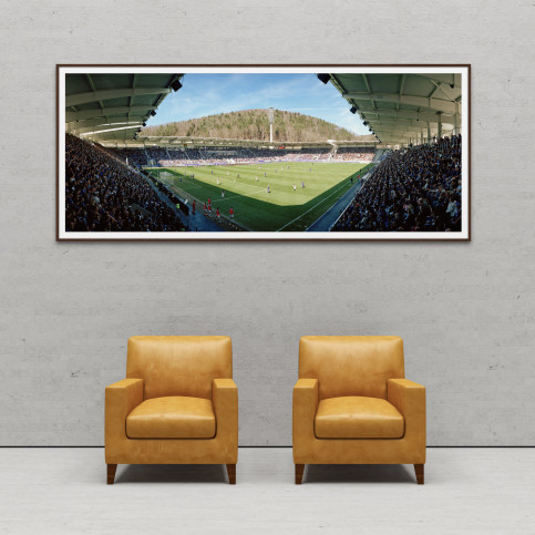 Aue (2018) - Stadion Wandbild Erzgebirgsstadion - 11FREUNDE SHOP