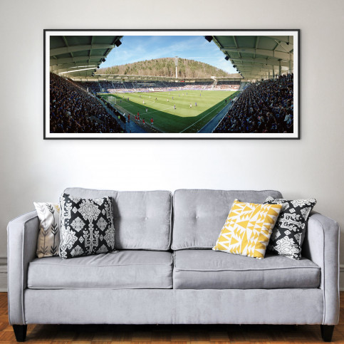 Aue (2018) - Stadion Wandbild Erzgebirgsstadion - 11FREUNDE SHOP