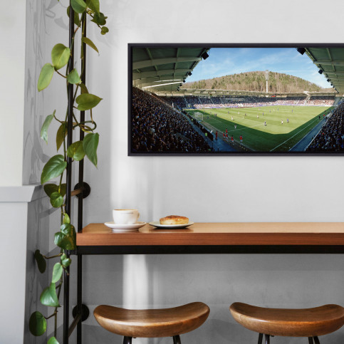 Aue (2018) - Stadion Wandbild Erzgebirgsstadion - 11FREUNDE SHOP