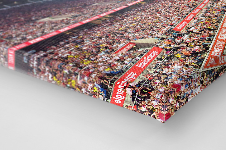 Köln (2019) - 1. FC Köln Wandbild Stadion Panorama