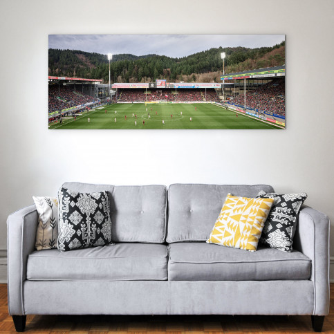 Freiburg (2020) - Schwarzwald-Stadion - Fußball Wandbild - 11FREUNDE SHOP