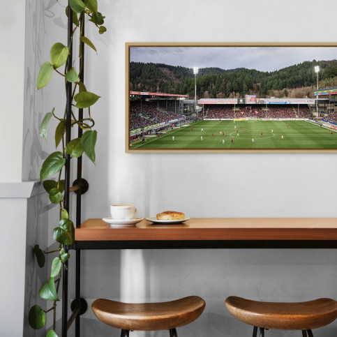 Freiburg (2020) - Schwarzwald-Stadion - Fußball Wandbild - 11FREUNDE SHOP