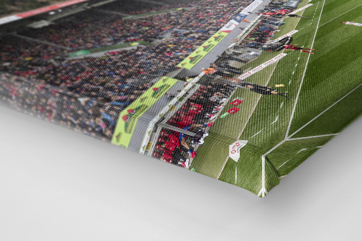 Freiburg (2020) - Schwarzwald-Stadion - Fußball Wandbild - 11FREUNDE SHOP