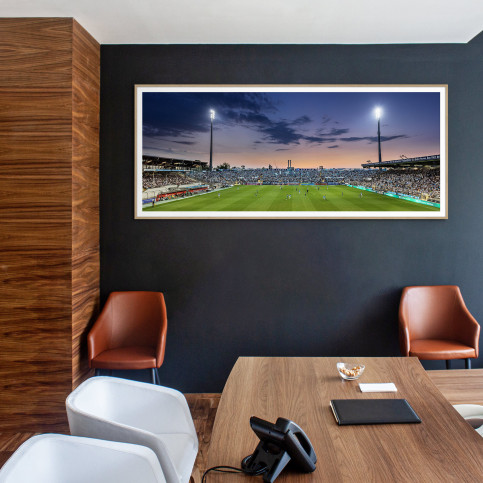 München (Stadion an der Grünwalder Str., 2023) - Wandbild