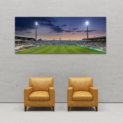 München (Stadion an der Grünwalder Str., 2023) - Wandbild