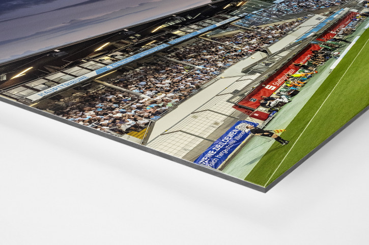 München (Stadion an der Grünwalder Str., 2023) - Wandbild