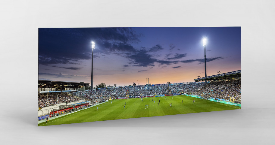 München (Stadion an der Grünwalder Str., 2023) - Wandbild