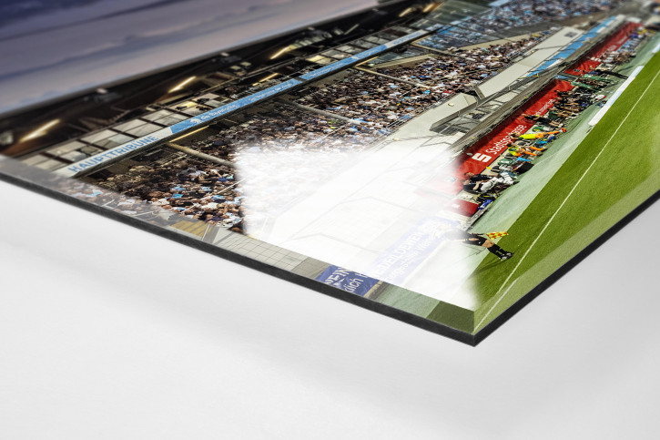 München (Stadion an der Grünwalder Str., 2023) - Wandbild