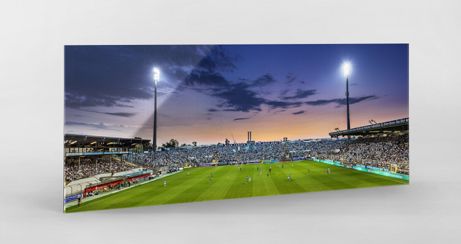 München (Stadion an der Grünwalder Str., 2023) - Wandbild