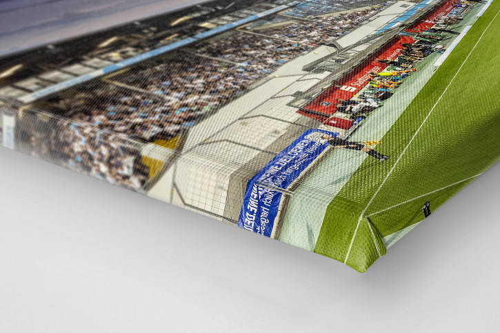 München (Stadion an der Grünwalder Str., 2023) - Wandbild