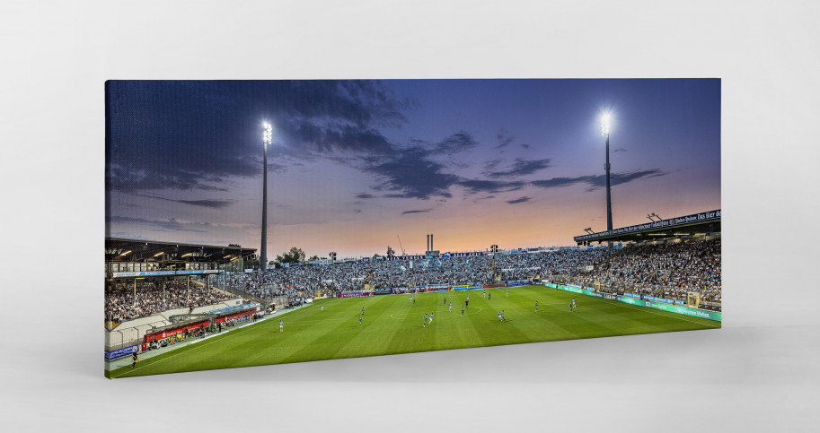 München (Stadion an der Grünwalder Str., 2023) - Wandbild