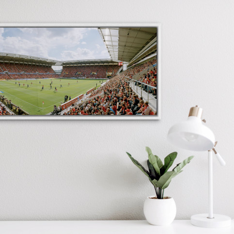 Mainz Coface Arena - 11FREUNDE BILDERWELT