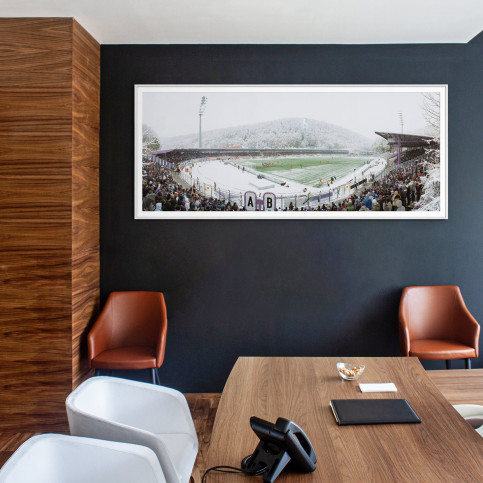 Aue Sparkassen-Erzgebirgsstadion 11FREUNDE BILDERWELT