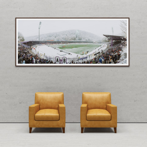Aue Sparkassen-Erzgebirgsstadion 11FREUNDE BILDERWELT