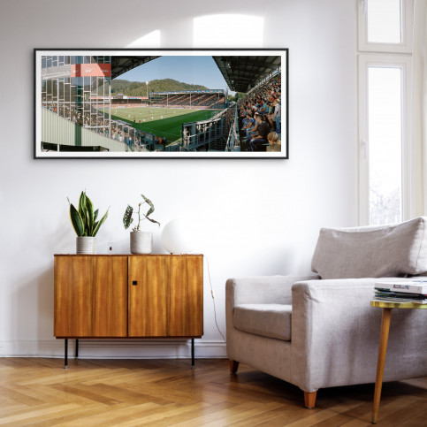 Freiburg Mage Solar Stadion - 11FREUNDE BILDERWELT